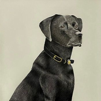 Detail of a dog portrait by Avery Joyner