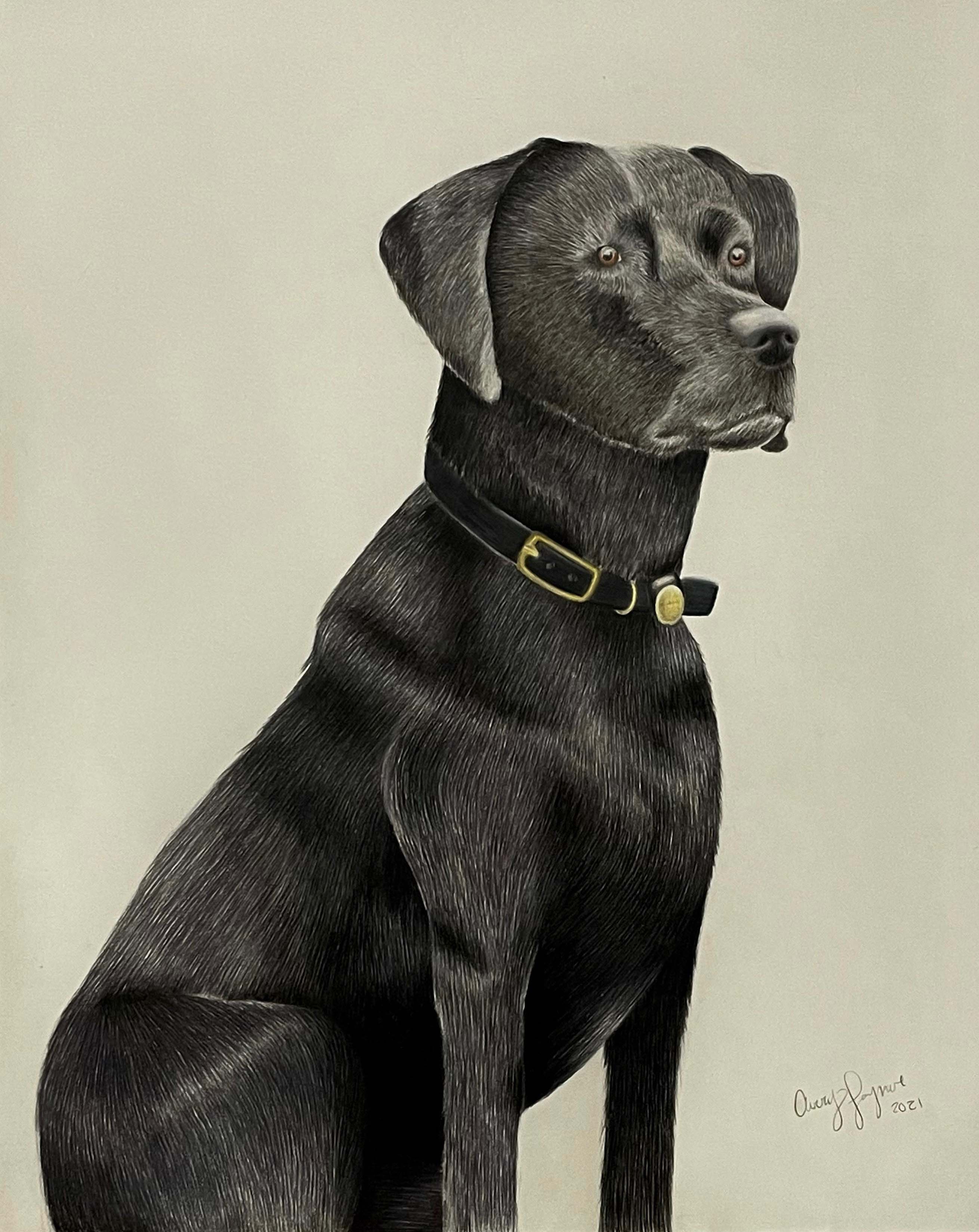 Dog portrait by Avery Joyner